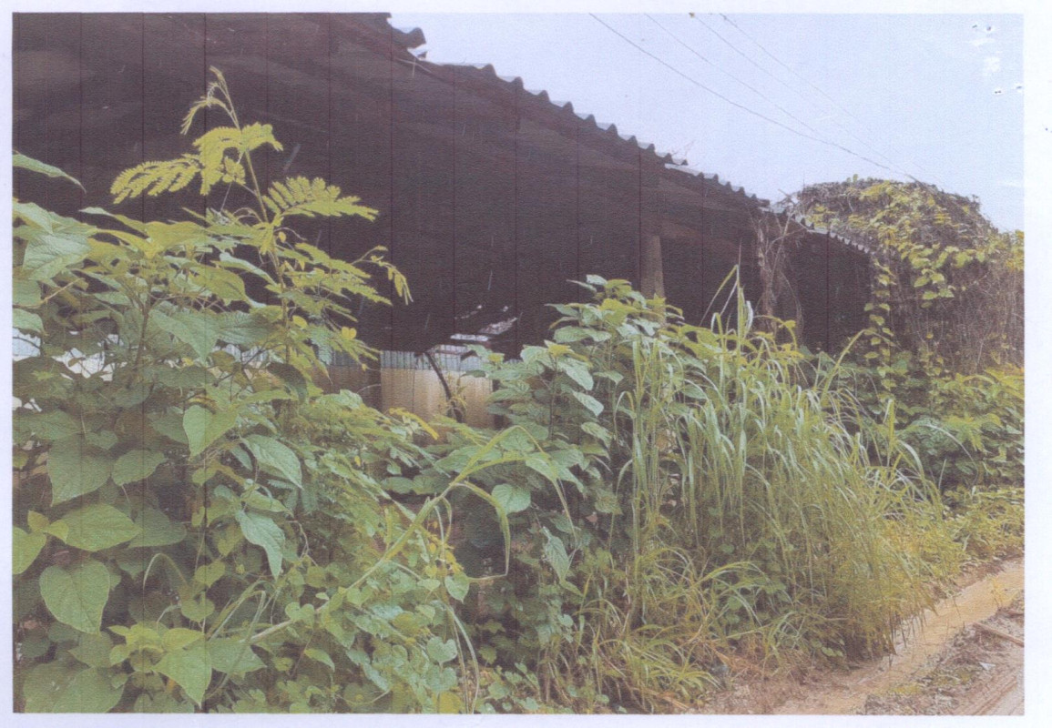 Single house Udon Thani Ban Phue Hai Sok 661570