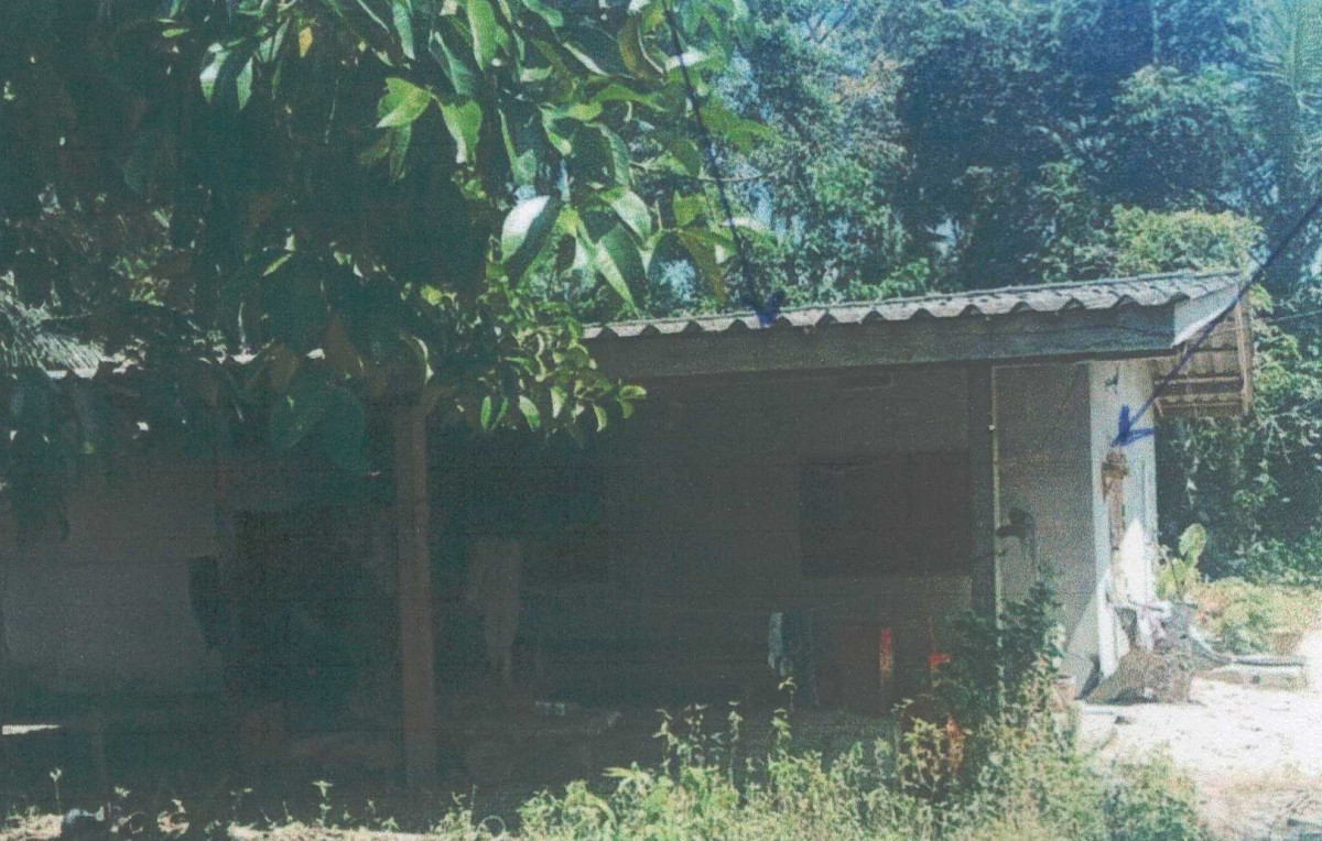บ้านเดี่ยว นครศรีธรรมราช บางขัน บ้านลำนาว 1046903