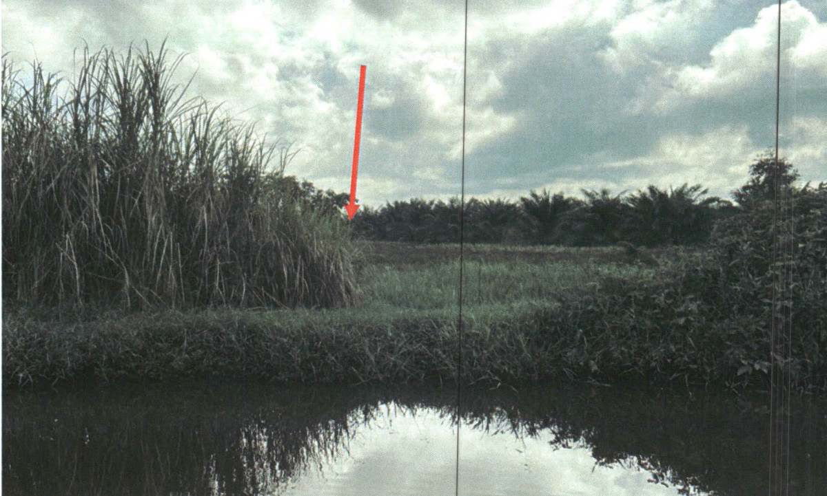 Residential land/lot Phatthalung Mueang Phatthalung Khuan Ma Phrao 164340