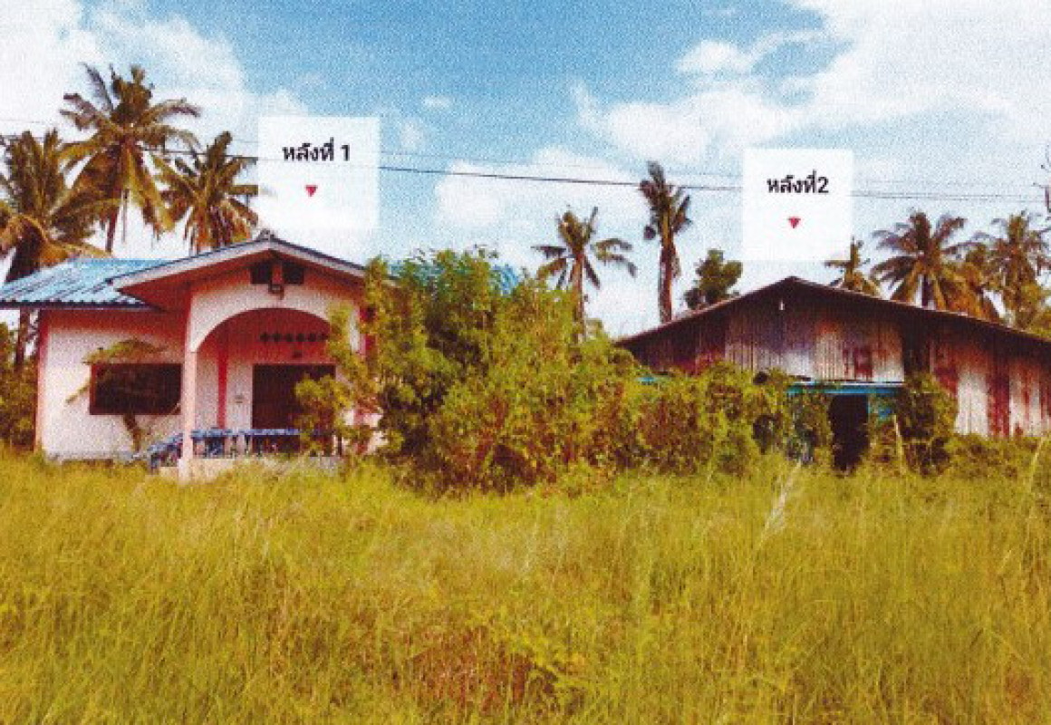 Single house Phitsanulok Bang Krathum Phai Lom 1331020