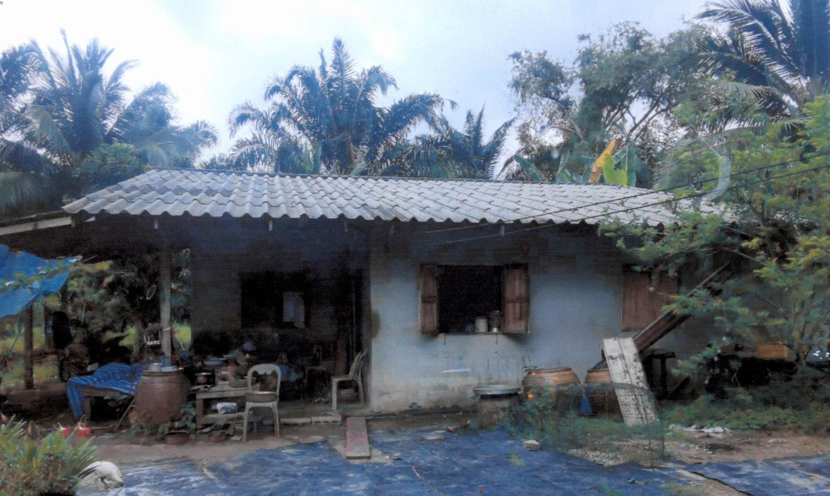 Single house Surat Thani Tha Chana Tha Chana 915488