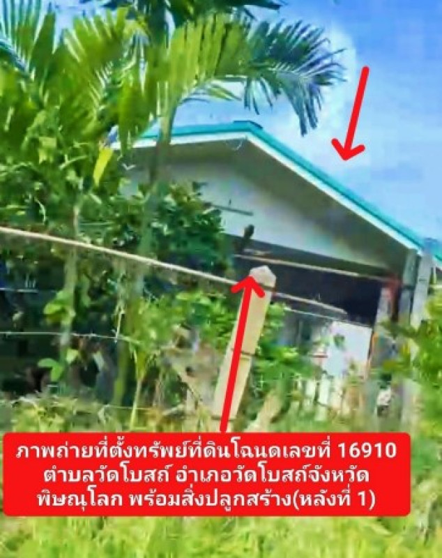 บ้านเดี่ยว พิษณุโลก วัดโบสถ์ วัดโบสถ์ 342300