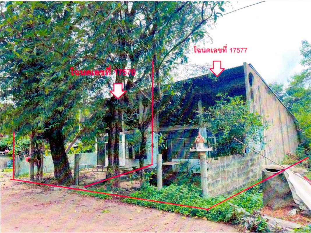 ทาวน์เฮ้าส์ ศรีสะเกษ เมืองศรีสะเกษ หนองครก 519840