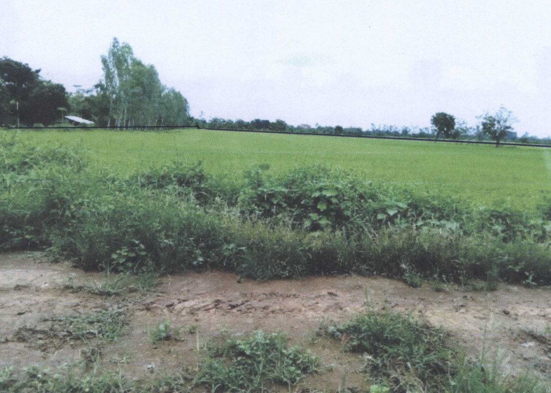 ที่ดินเปล่า พิจิตร ตะพานหิน วังหว้า 395475