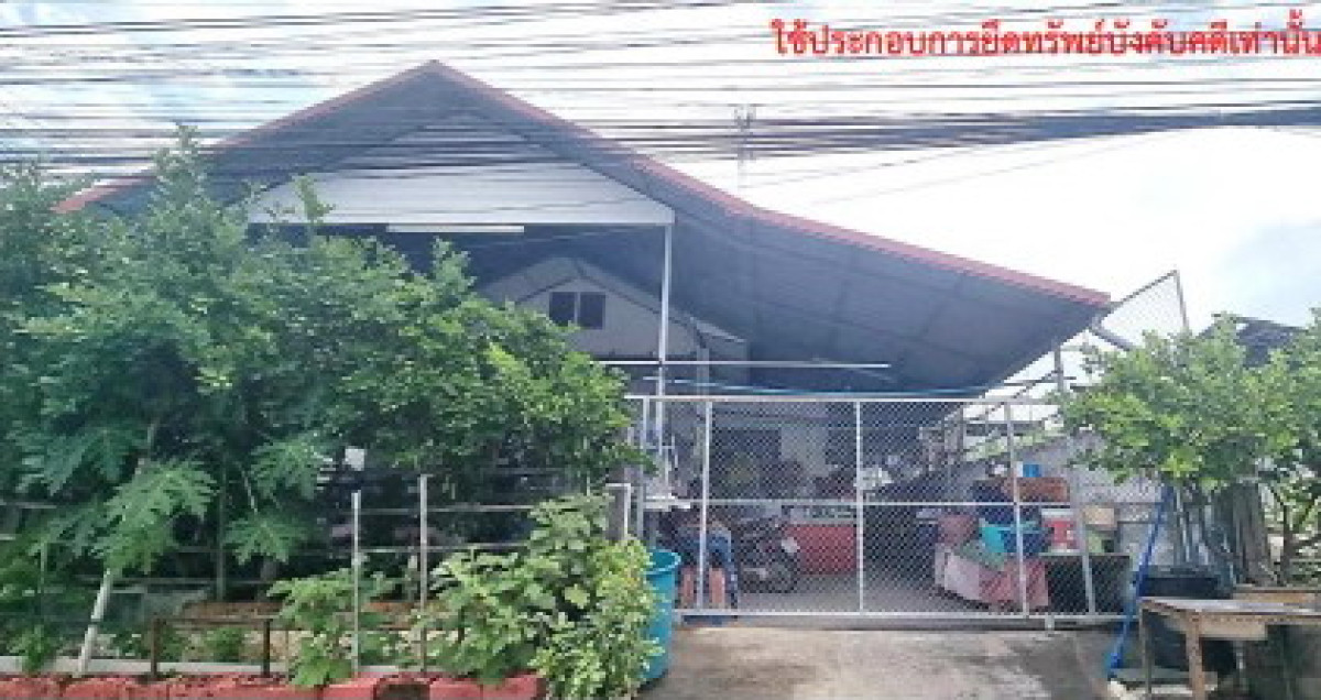 Townhouse Kalasin Mueang Kalasin Lup 1030000