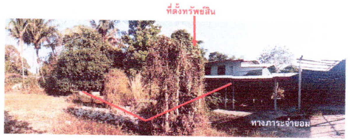 บ้านเดี่ยว ศรีสะเกษ เมืองศรีสะเกษ โพธิ์ 880920