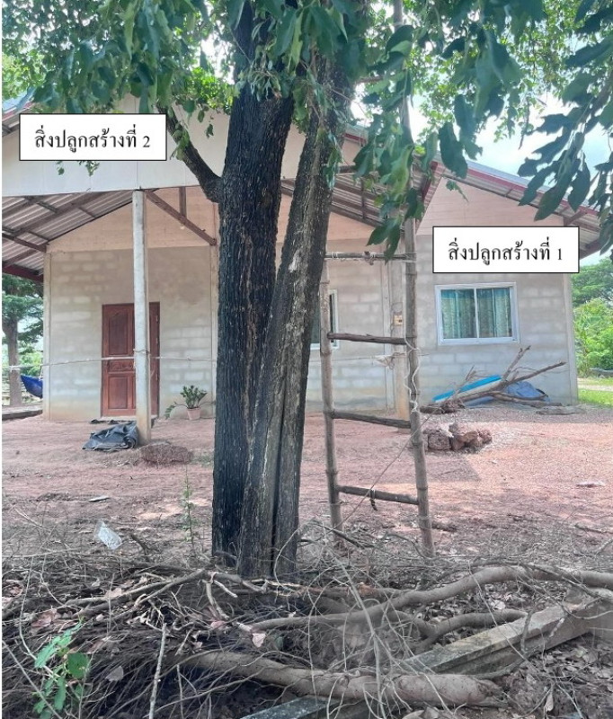 บ้านเดี่ยว ขอนแก่น เมืองขอนแก่น โคกสี 1155200