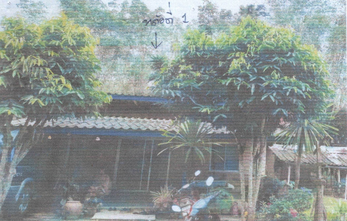 บ้านเดี่ยว นครศรีธรรมราช ทุ่งสง เขาโร 1944825