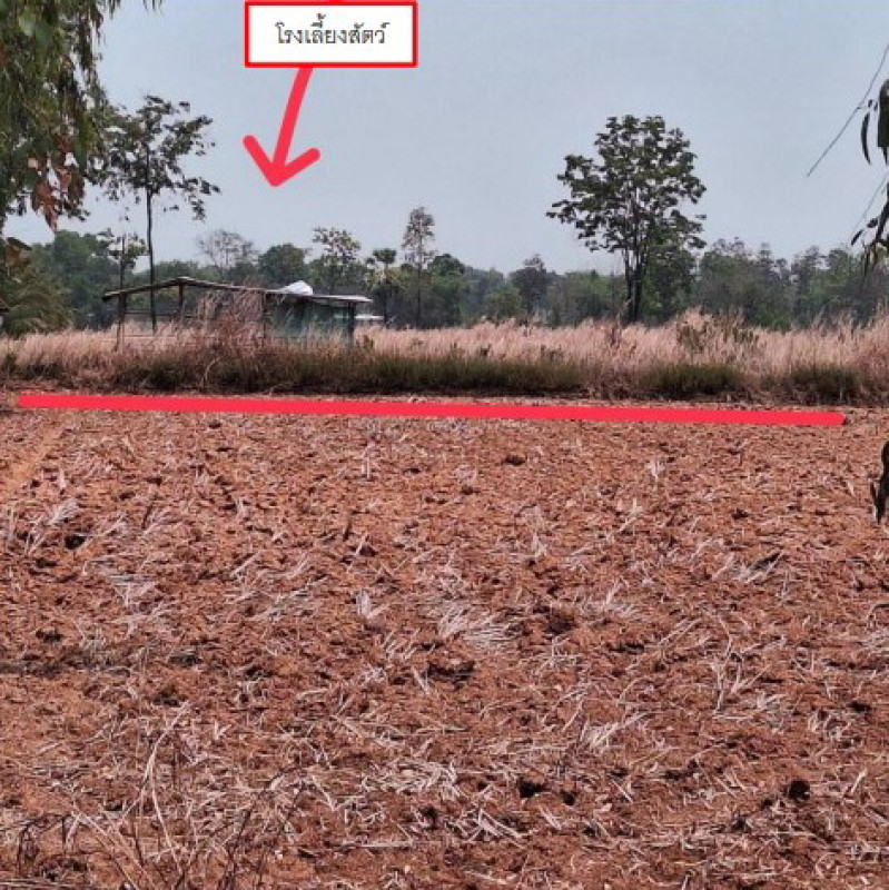 Single house Udon Thani Ban Dung Dong Yen 516673