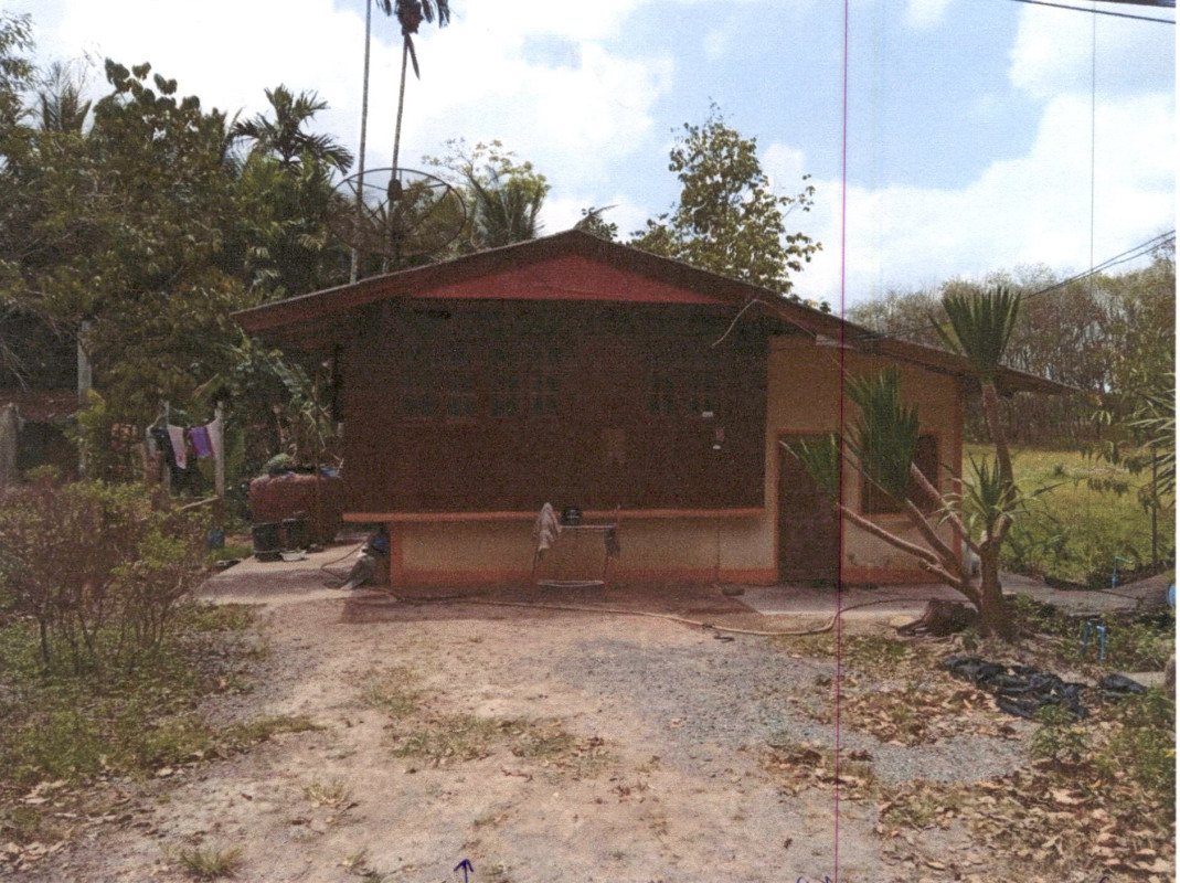 Single house Surat Thani Kanchanadit Pa Ron 219900