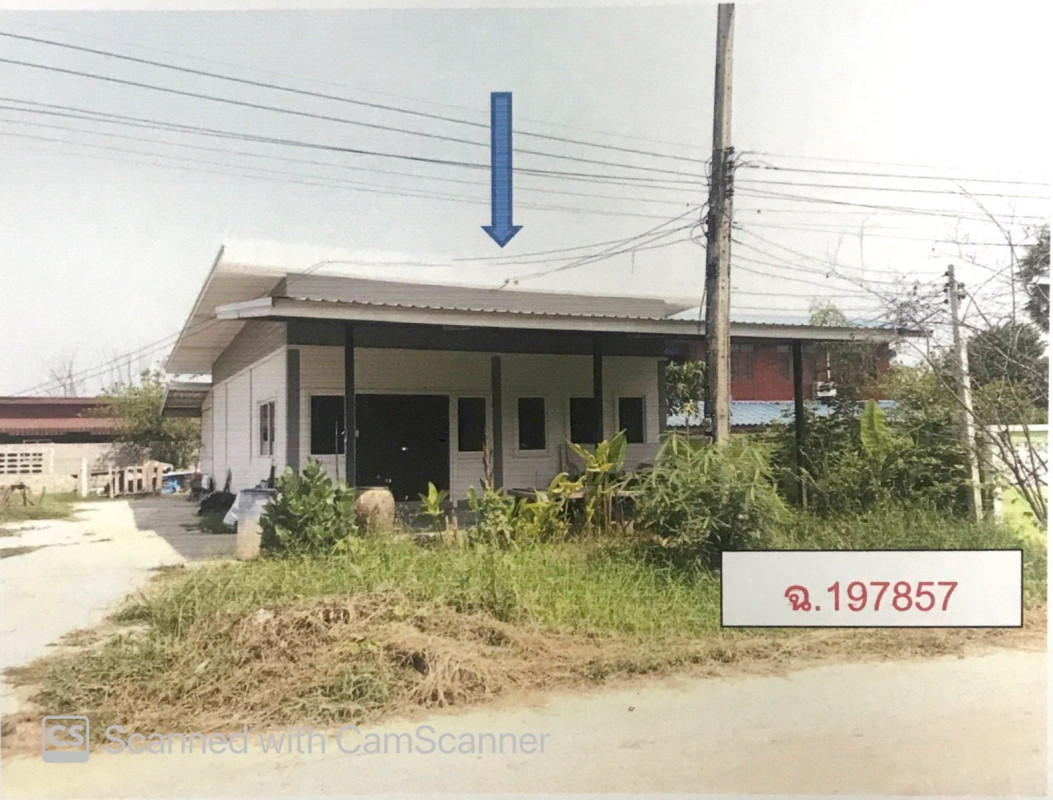 บ้านเดี่ยว พิษณุโลก เมืองพิษณุโลก บ้านป่า 1083900