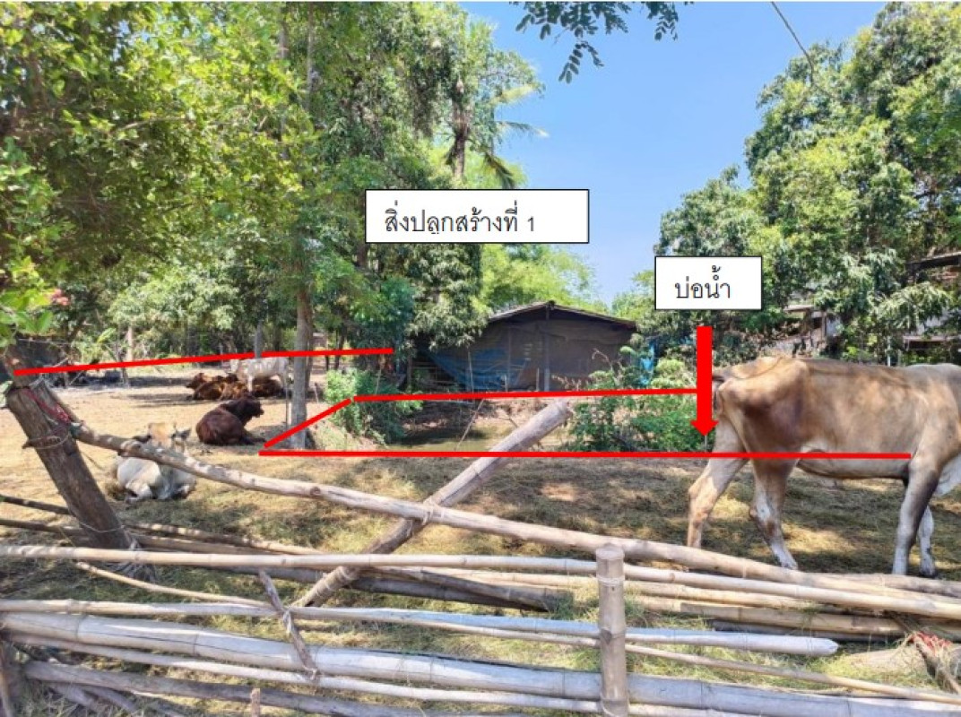 Single house Phitsanulok Phrom Phiram Wang Won 107200