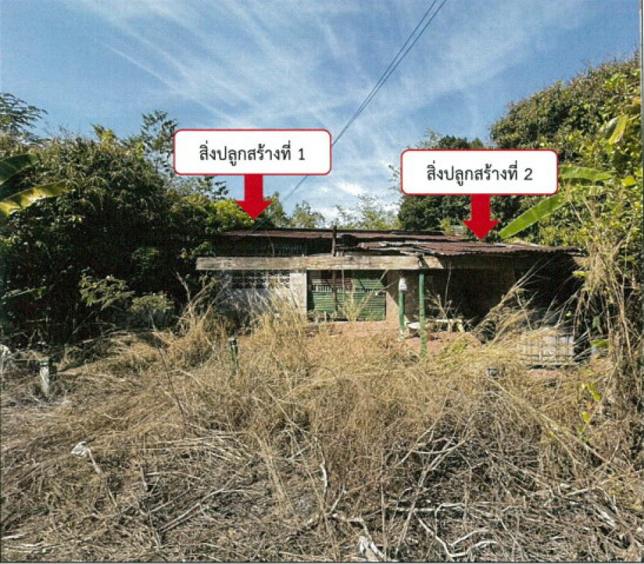 บ้านเดี่ยว พิษณุโลก เนินมะปราง บ้านน้อยซุ้มขี้เหล็ก 310482