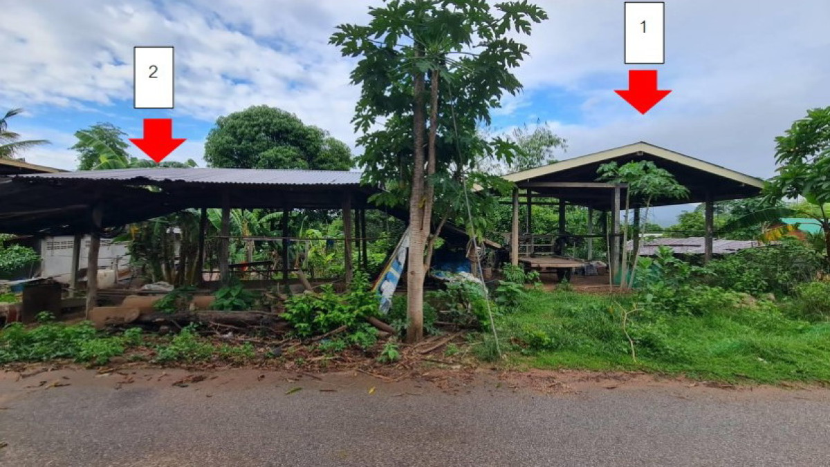 บ้านเดี่ยว พิษณุโลก ชาติตระการ ท่าสะแก 144560