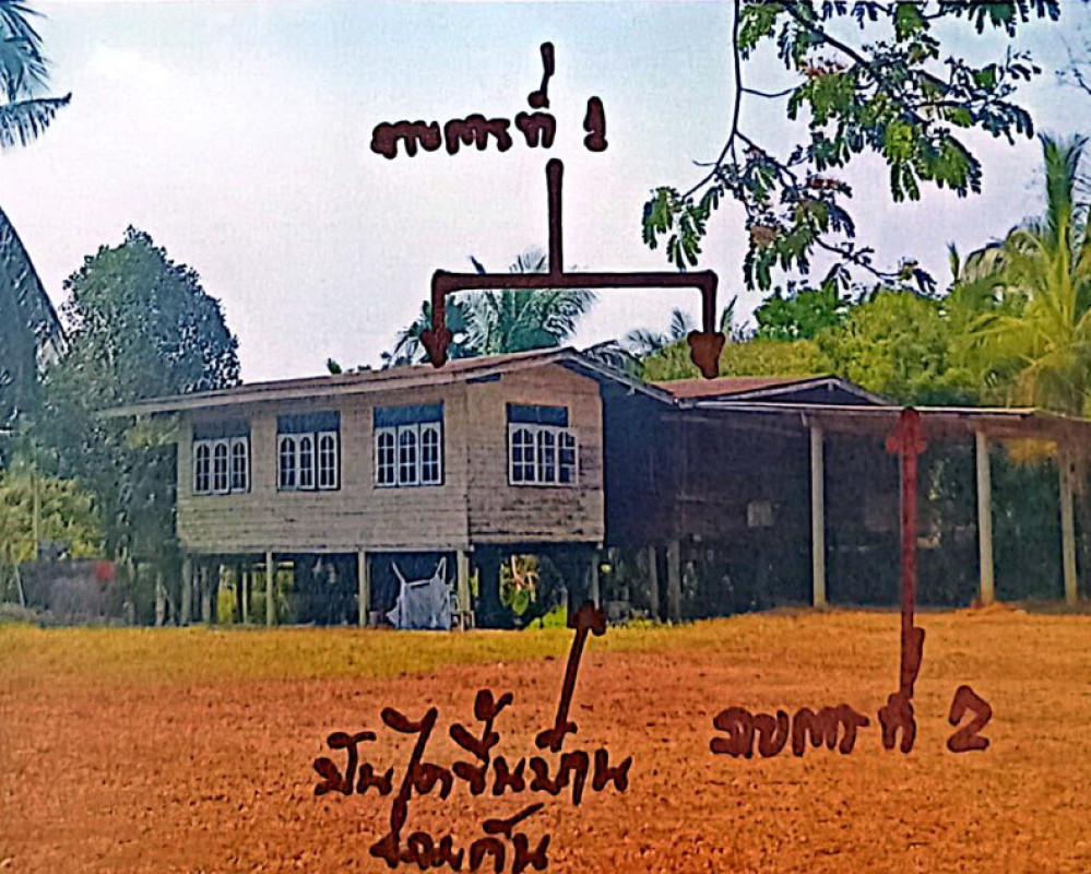บ้านเดี่ยว พิจิตร ดงเจริญ สำนักขุนเณร 973080