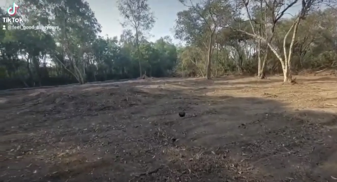 ที่ดินเปล่า พระนครศรีอยุธยา บางไทร บางไทร 2500000