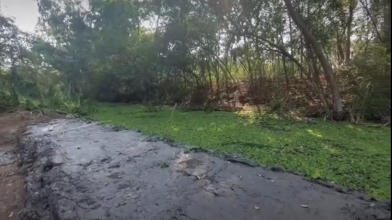 ที่ดินเปล่า พระนครศรีอยุธยา บางไทร บางไทร 2500000