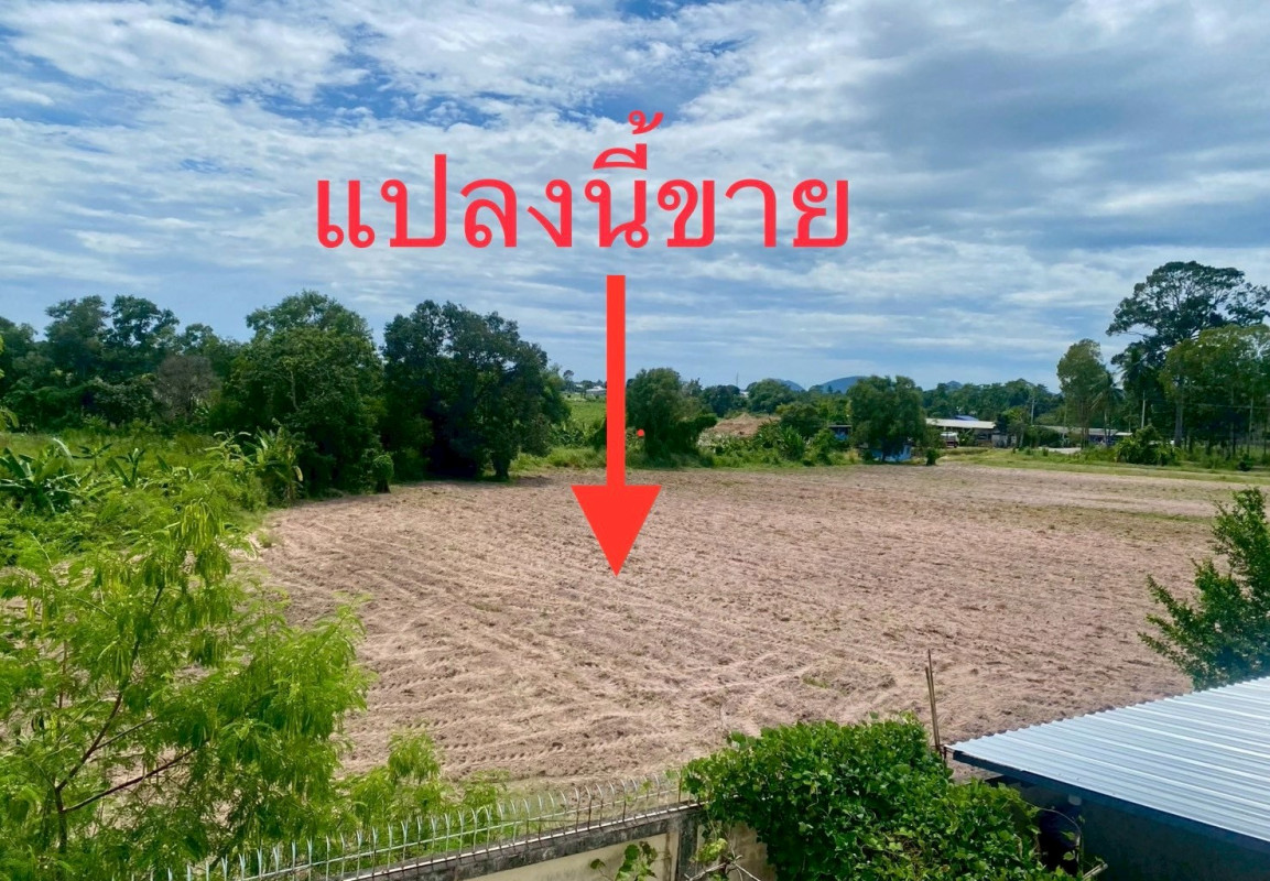 ที่ดินเปล่า ชลบุรี ศรีราชา สุรศักดิ์ 52000000