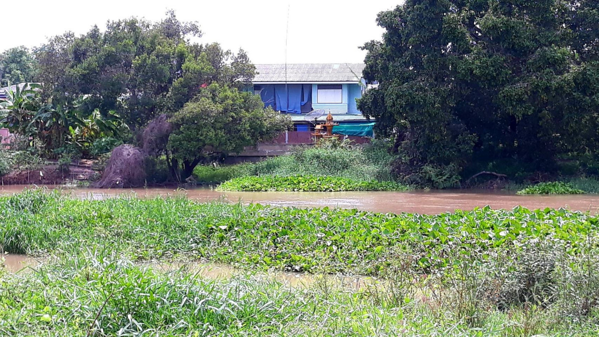 ที่ดินเปล่า อ่างทอง วิเศษชัยชาญ ไผ่จำศีล 14000000