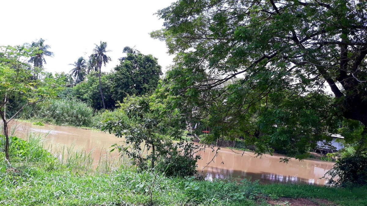 ที่ดินเปล่า อ่างทอง วิเศษชัยชาญ ไผ่จำศีล 14000000