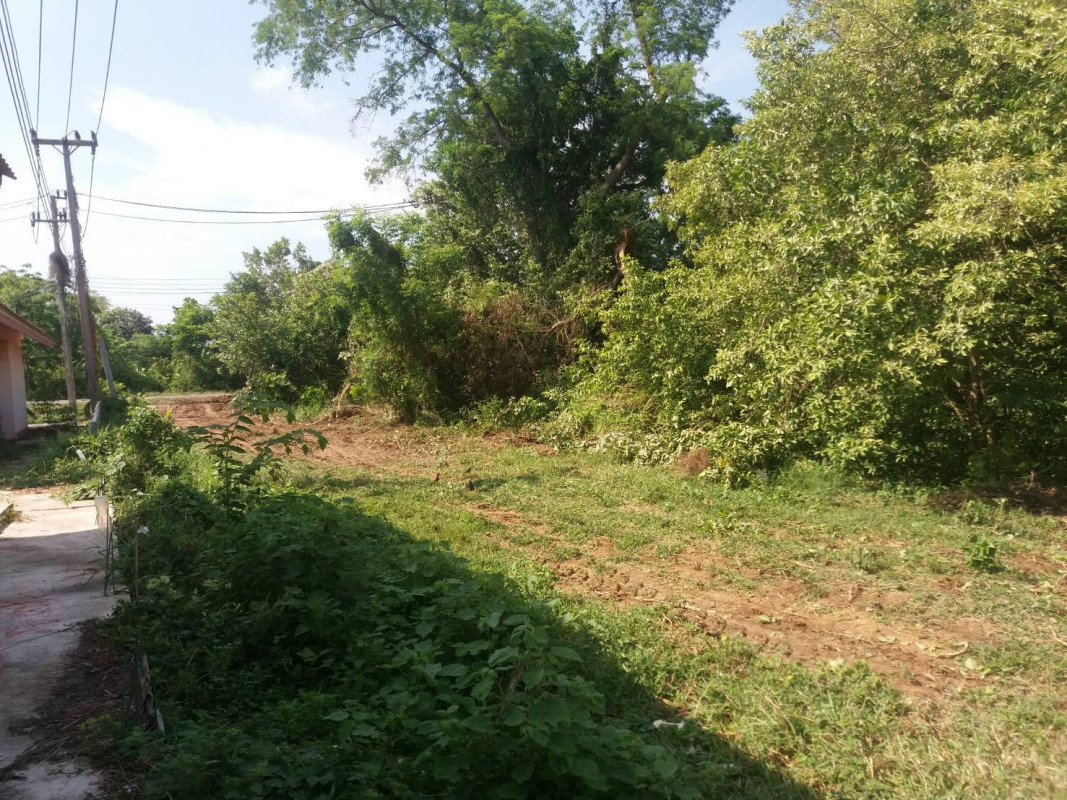 ที่ดินเปล่า อ่างทอง วิเศษชัยชาญ ไผ่จำศีล 14000000