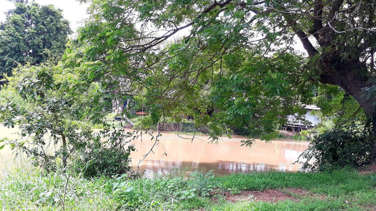 ที่ดินเปล่า อ่างทอง วิเศษชัยชาญ ไผ่จำศีล 14000000