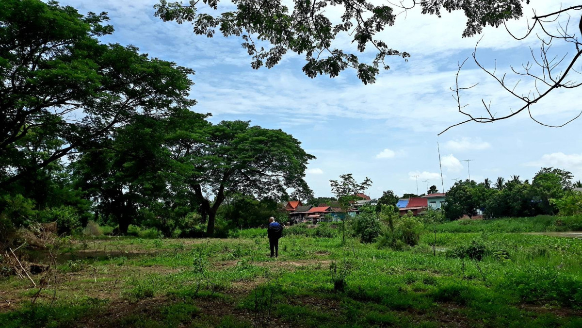 ที่ดินเปล่า อ่างทอง วิเศษชัยชาญ ไผ่จำศีล 14000000