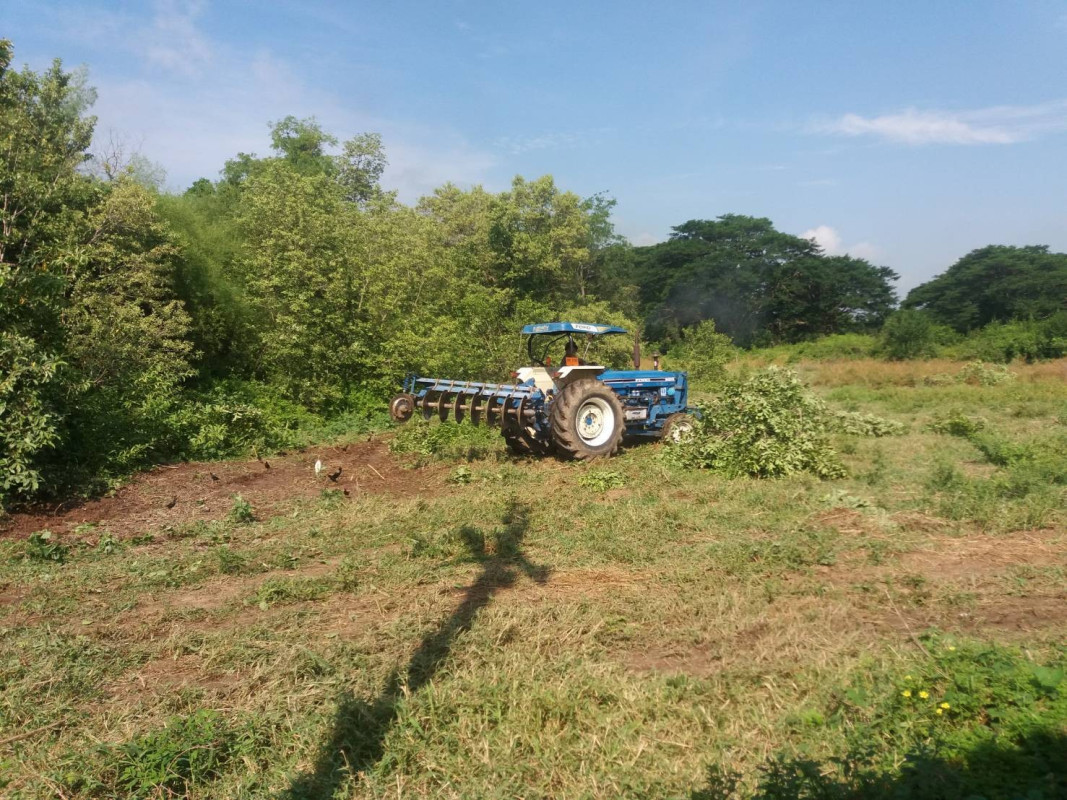 ที่ดินเปล่า อ่างทอง วิเศษชัยชาญ ไผ่จำศีล 14000000