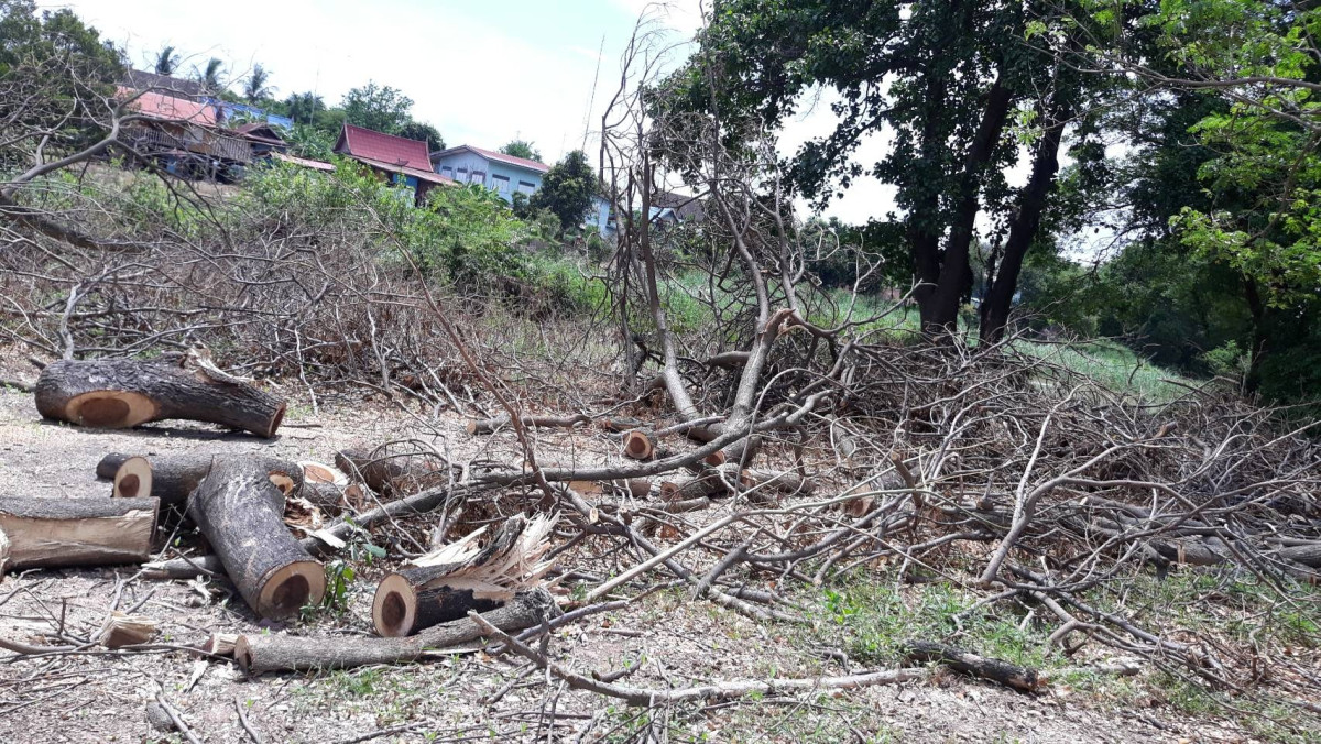 ที่ดินเปล่า อ่างทอง วิเศษชัยชาญ ไผ่จำศีล 14000000