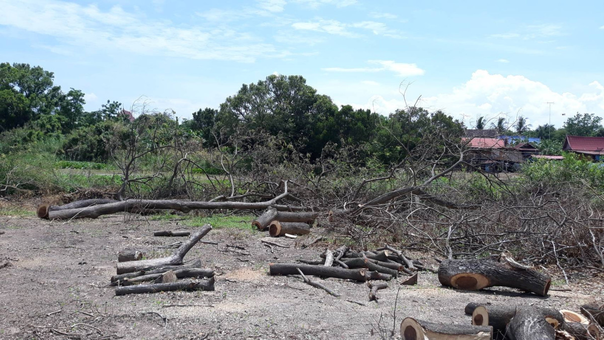 ที่ดินเปล่า อ่างทอง วิเศษชัยชาญ ไผ่จำศีล 14000000