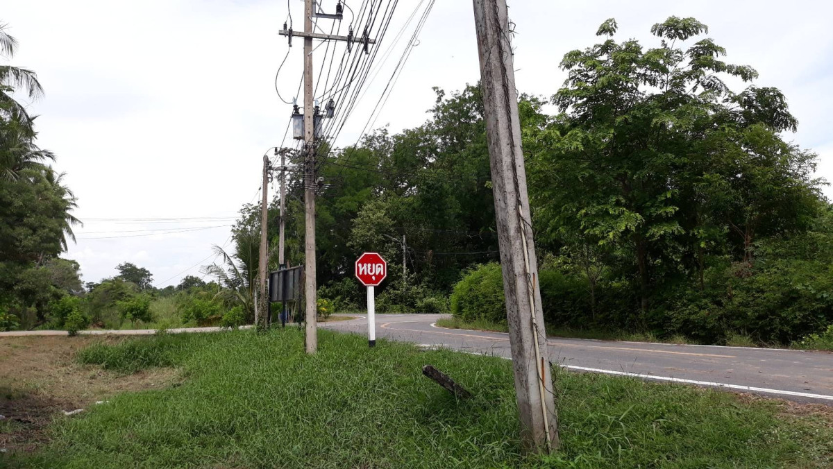 ที่ดินเปล่า อ่างทอง วิเศษชัยชาญ ไผ่จำศีล 14000000