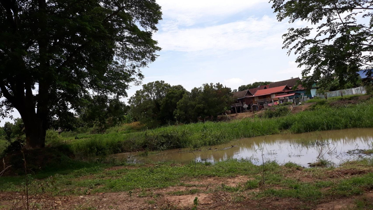 ที่ดินเปล่า อ่างทอง วิเศษชัยชาญ ไผ่จำศีล 14000000