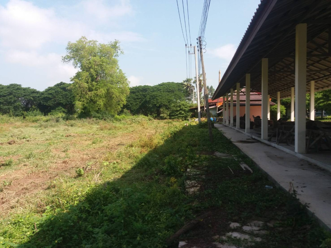 ที่ดินเปล่า อ่างทอง วิเศษชัยชาญ ไผ่จำศีล 14000000