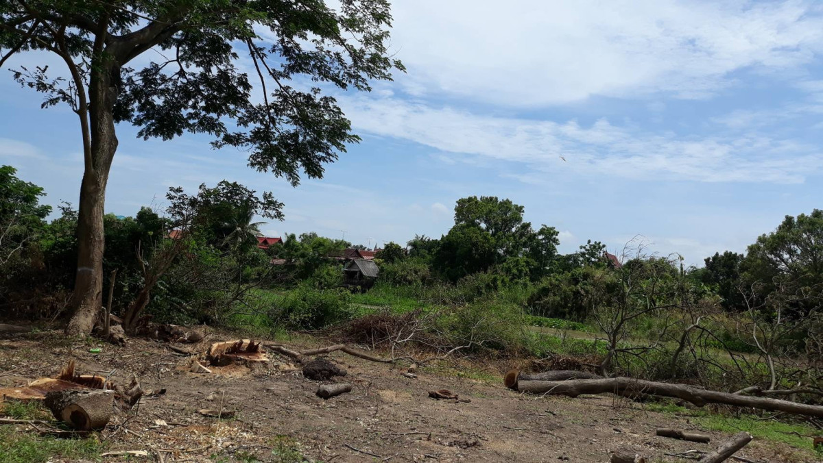 ที่ดินเปล่า อ่างทอง วิเศษชัยชาญ ไผ่จำศีล 14000000