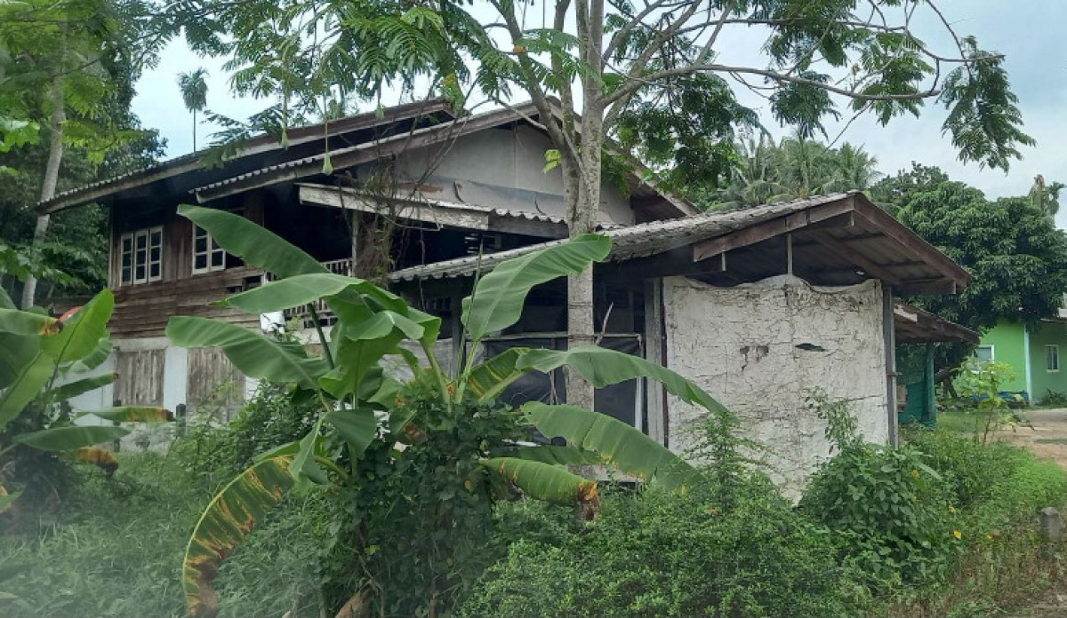 บ้านเดี่ยว ระยอง บ้านค่าย ตาขัน 2559170