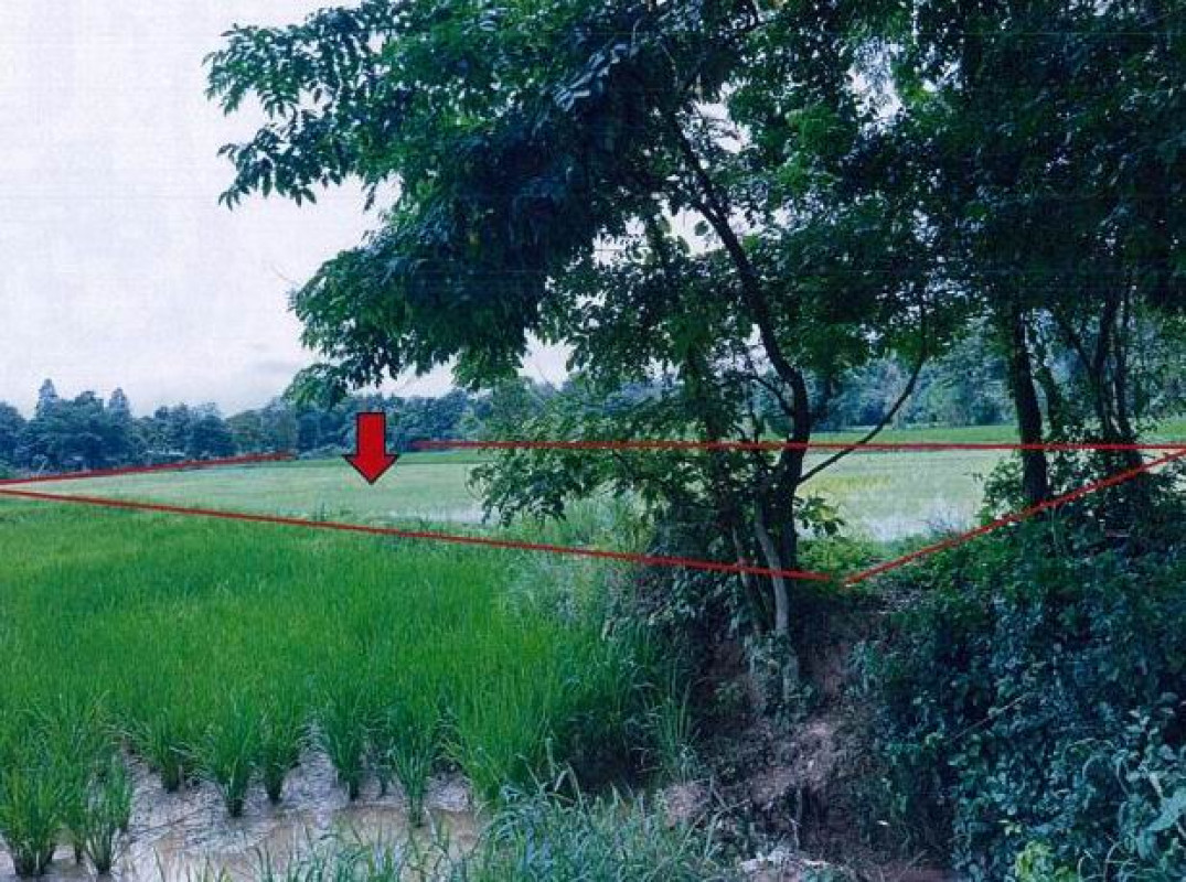 ที่ดินเปล่า มหาสารคาม เชียงยืน กู่ทอง 614000