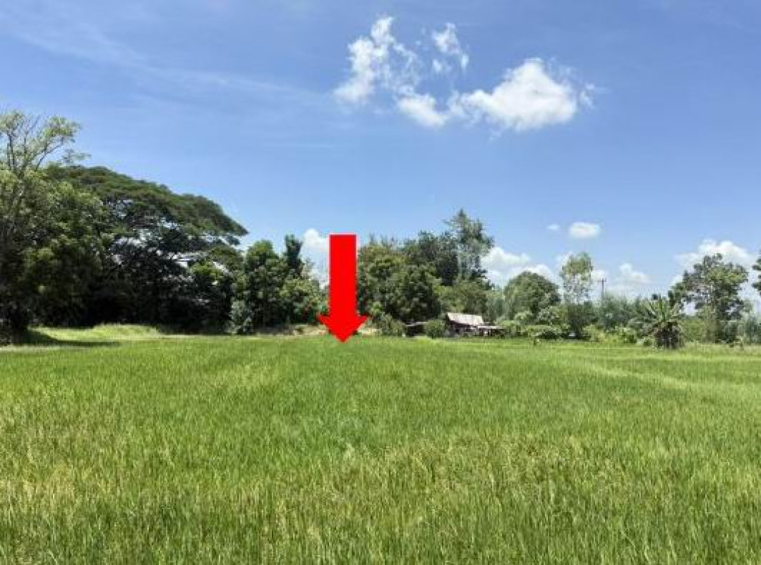 ที่ดินเปล่า มหาสารคาม โกสุมพิสัย แห่ใต้ 435120