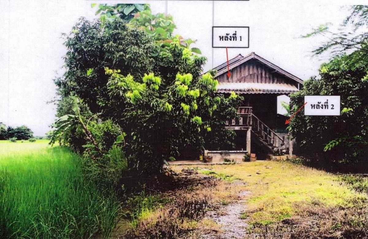 Single house Phayao Mae Chai Si Thoi 338640