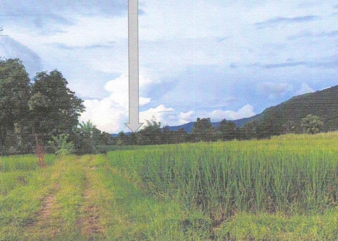 ที่ดินเปล่า ขอนแก่น สีชมพู ศรีสุข 435150