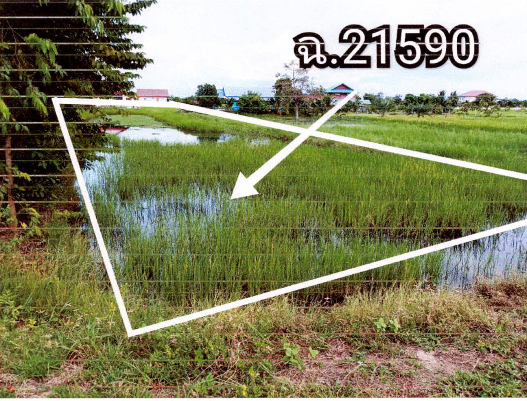 ที่ดินเปล่า ศรีสะเกษ วังหิน วังหิน 430560