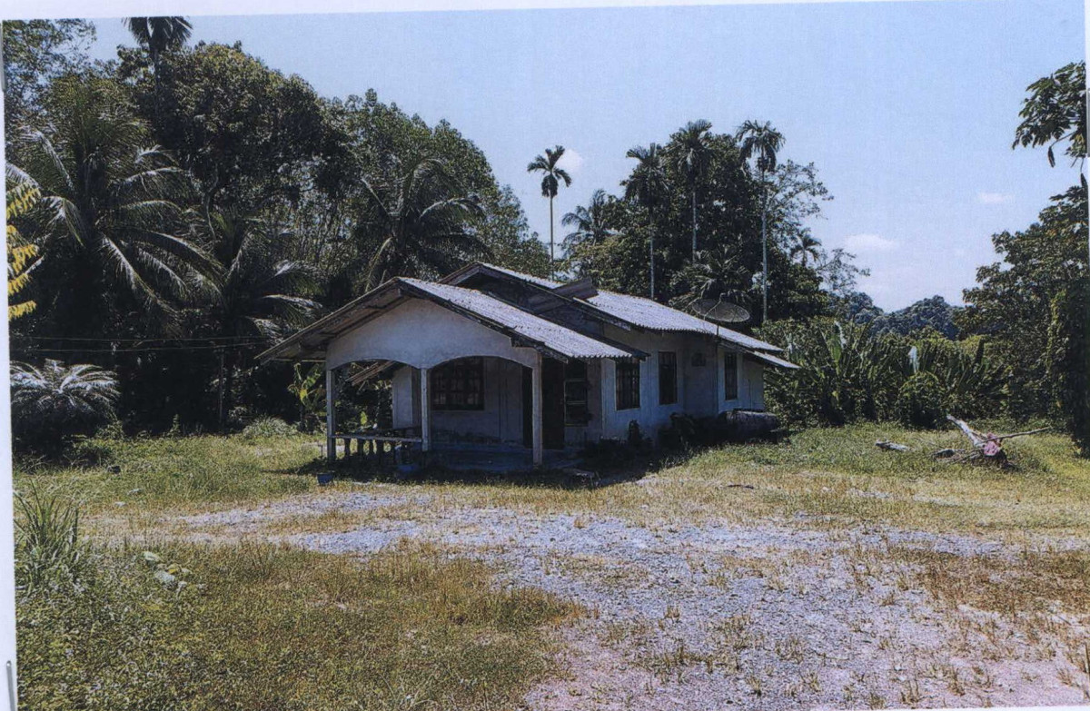 บ้านเดี่ยว นครศรีธรรมราช ทุ่งสง ที่วัง 1231140