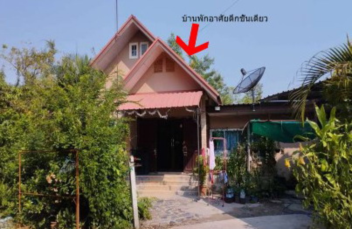 บ้านเดี่ยว พิษณุโลก เมืองพิษณุโลก บ้านป่า 992040