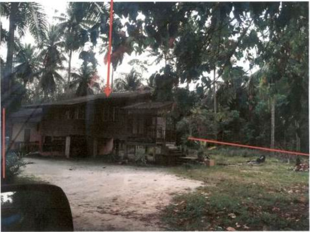 บ้านเดี่ยว นครศรีธรรมราช ท่าศาลา โพธิ์ทอง 217970