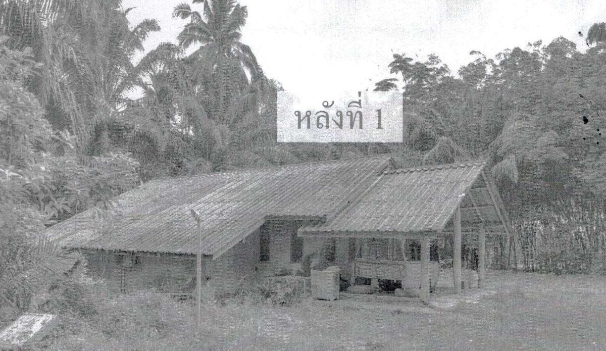 บ้านเดี่ยว นครศรีธรรมราช ทุ่งใหญ่ บางรูป 1385710