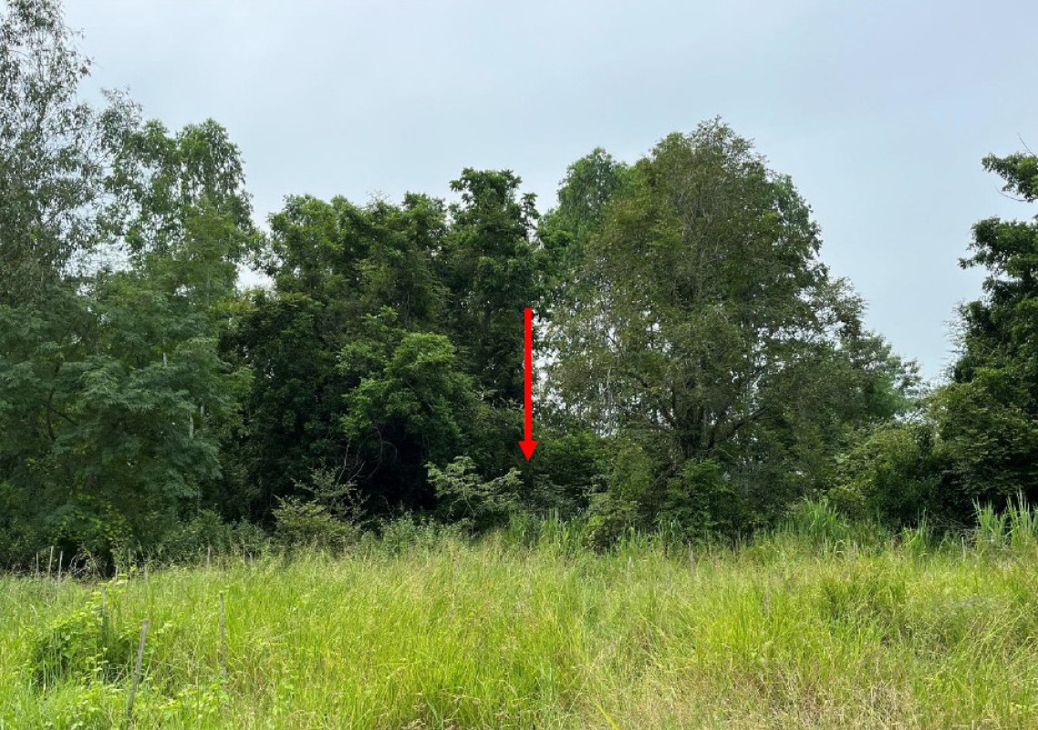 ที่ดินเปล่า อุทัยธานี หนองฉาง หนองฉาง 606720