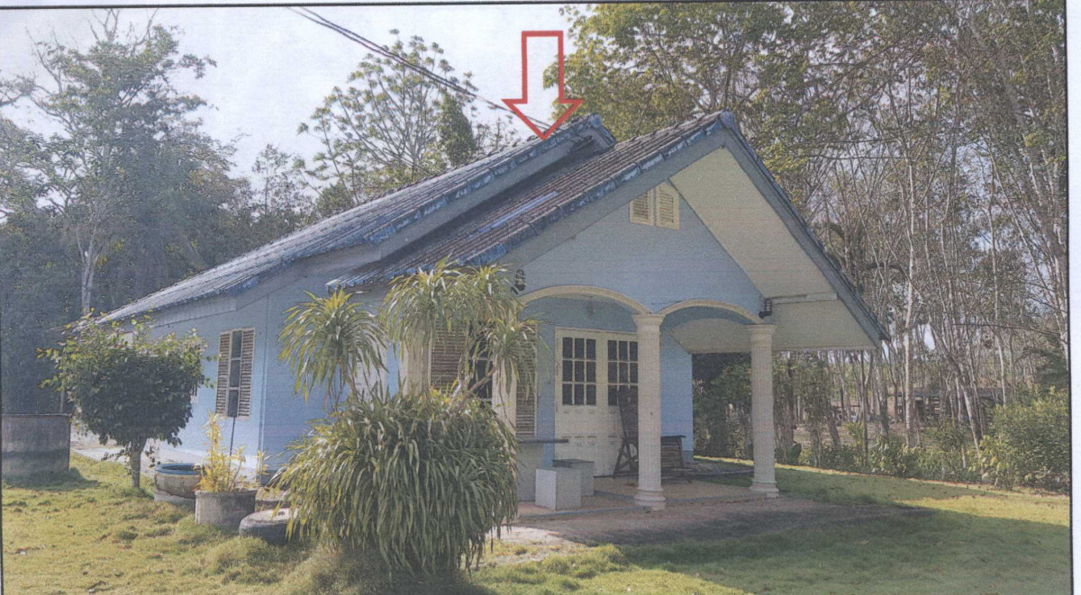 Single house Nakhon Si Thammarat Thung Song Kapang 1463200