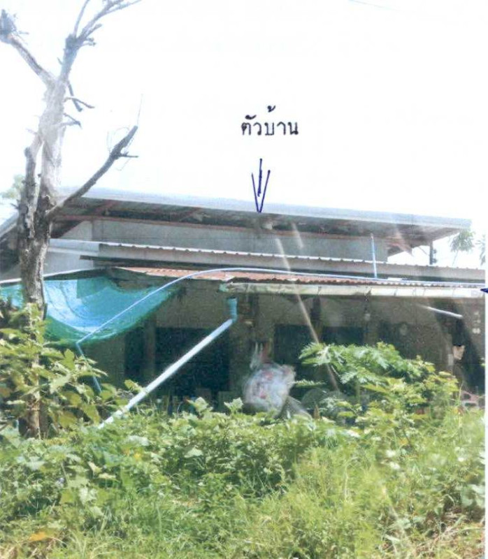 บ้านเดี่ยว นครราชสีมา เมืองนครราชสีมา สีมุม 411570