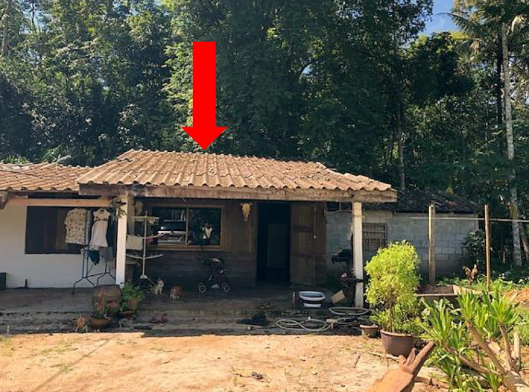 บ้านเดี่ยว สุราษฎร์ธานี ชัยบุรี ไทรทอง 1349846