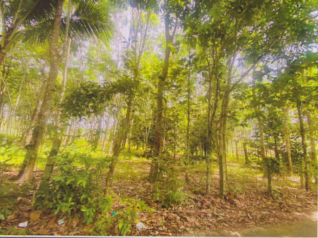 บ้านเดี่ยว สุราษฎร์ธานี บ้านนาเดิม ทรัพย์ทวี 2765950