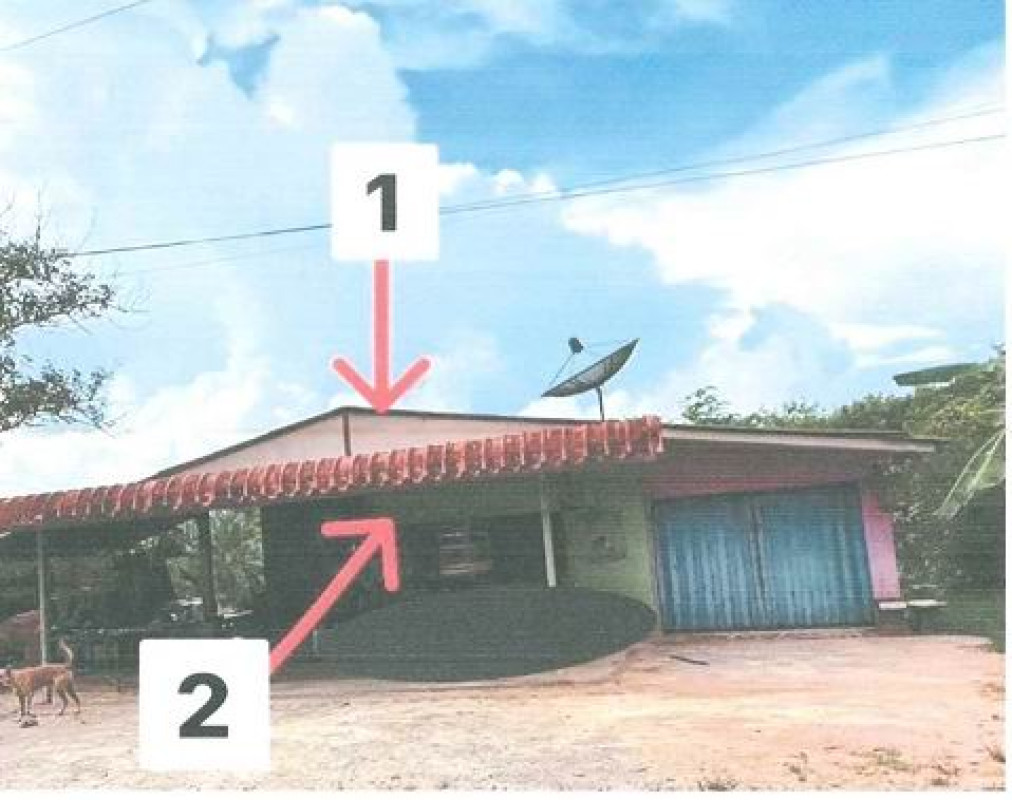 บ้านเดี่ยว ตรัง วังวิเศษ วังมะปราง 436914